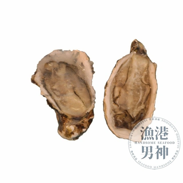半殼生蠔96p(8DZ)