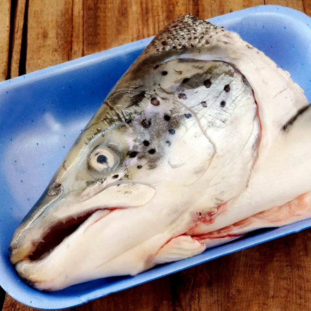 鮭魚頭