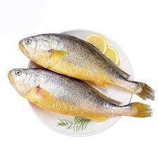 黃魚-規格洽詢