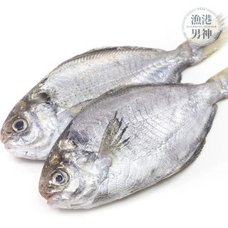 肉魚-規格洽詢
