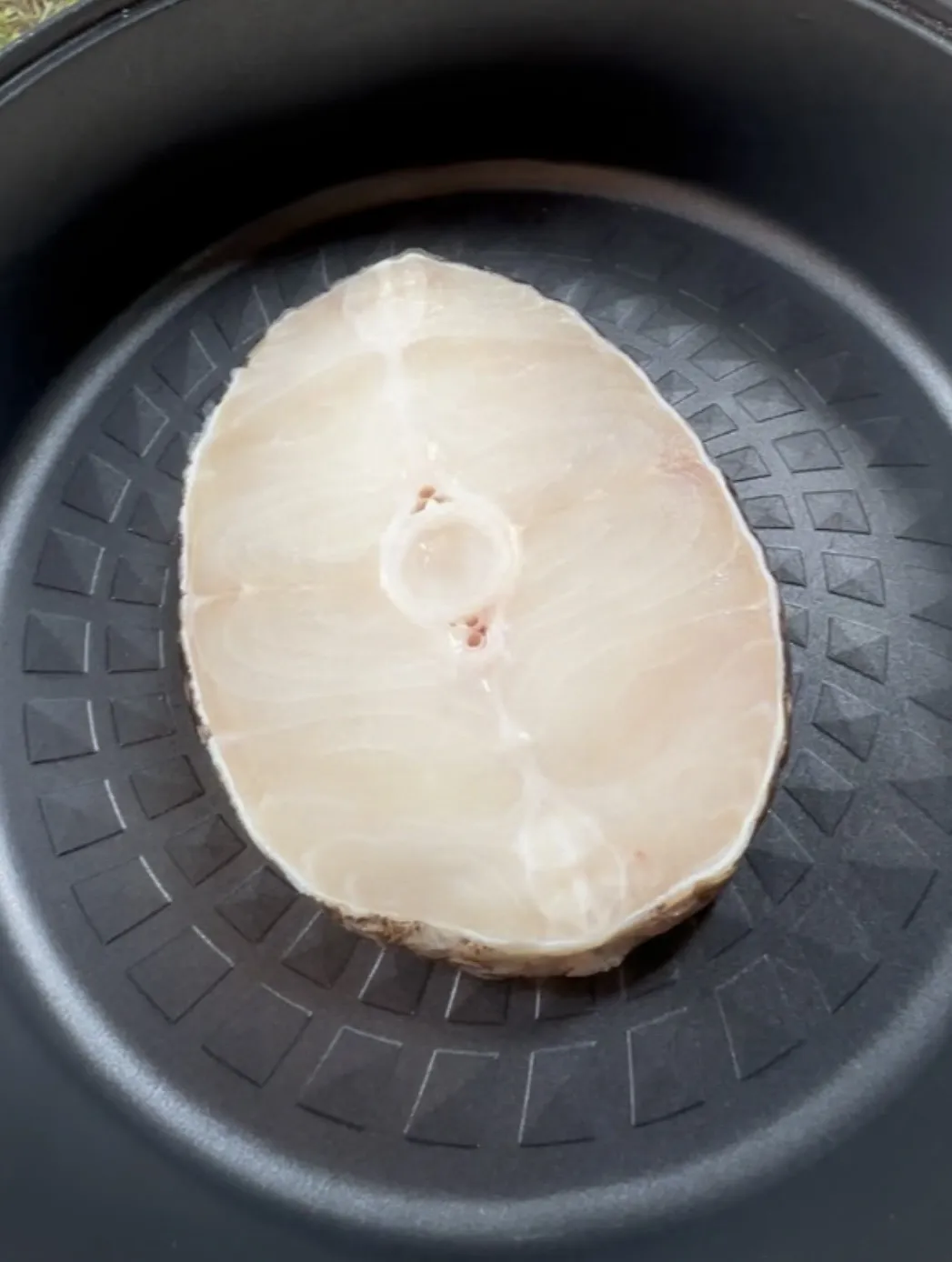 圓鱈(美露鱈/犬牙南極魚) Toothfish