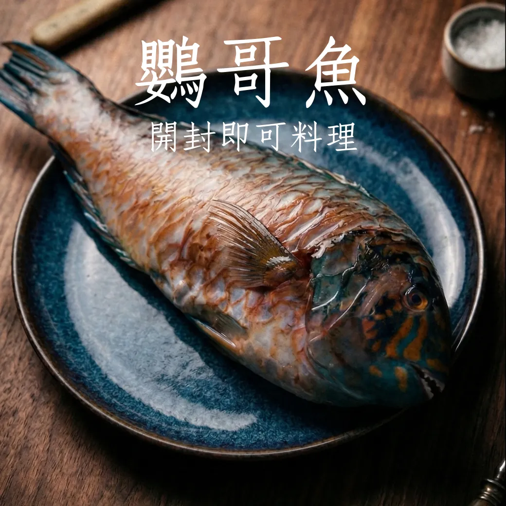 鸚哥魚 野生海魚 開封即可料理 適合家庭的大小