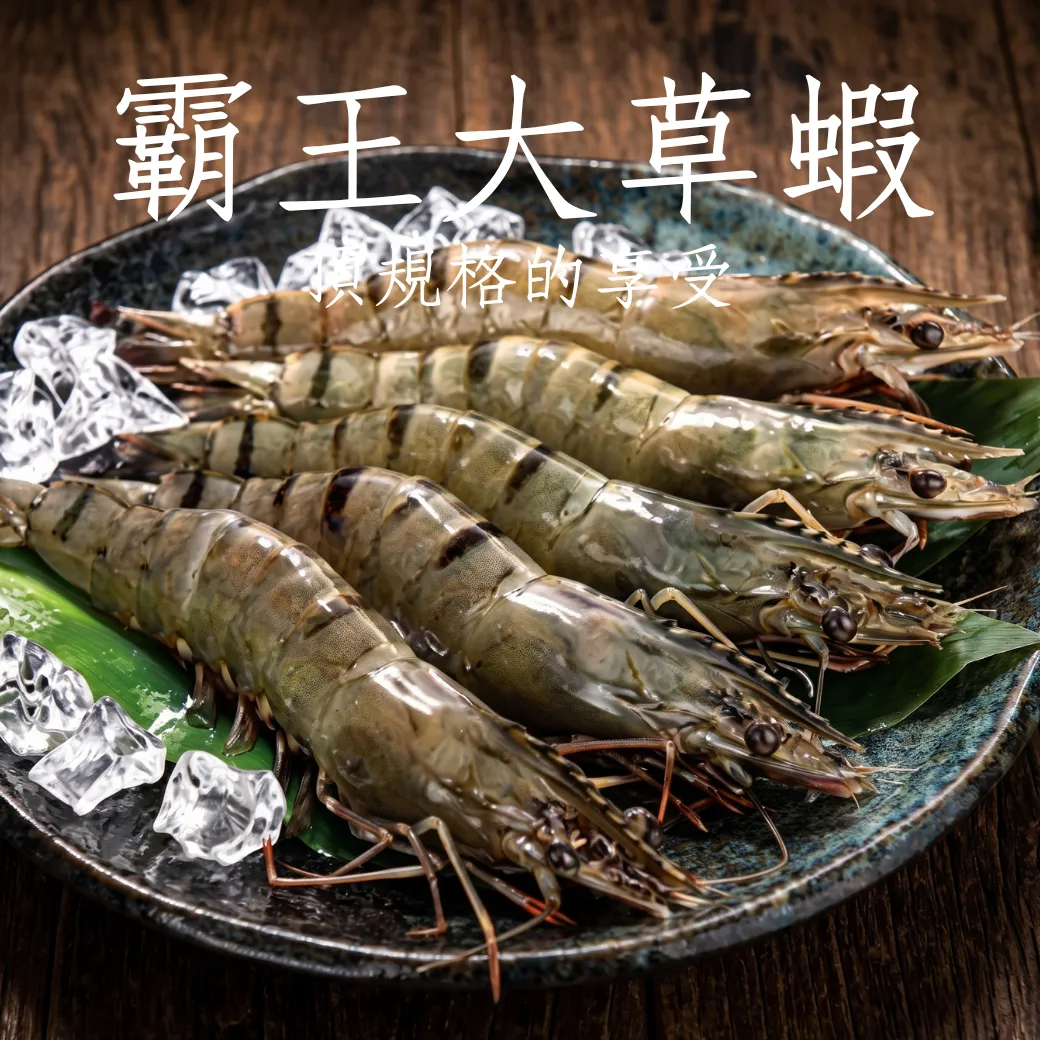 霸王大草蝦 5P 每盒400克 每隻肥大又鮮甜 頂級享受