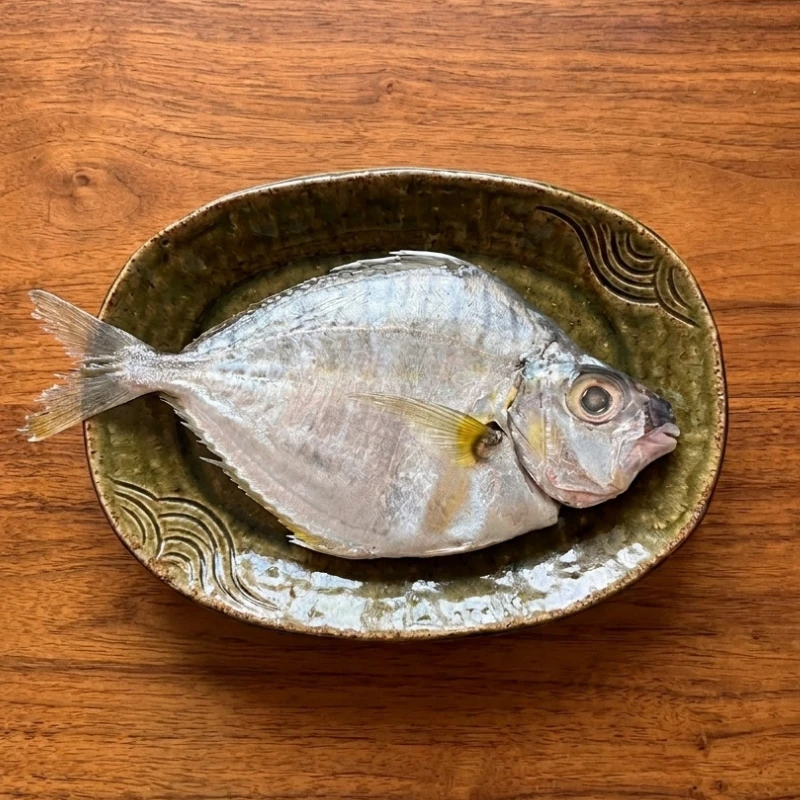 巨無霸三角魚 3隻組合優惠 煮湯清蒸首選 好魚推薦 每隻180-230克 
