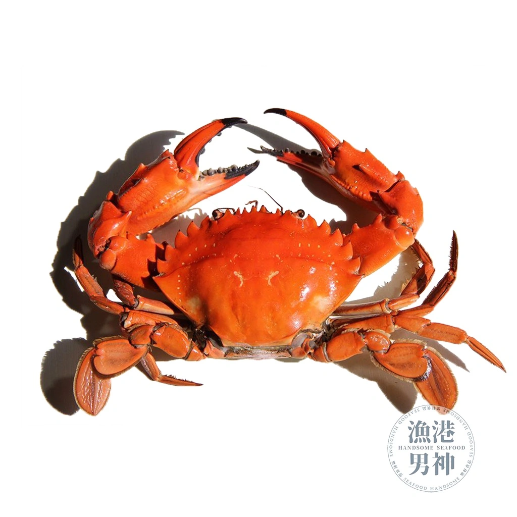凍紅蟳(盒/2隻裝)