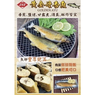 香魚7P-母