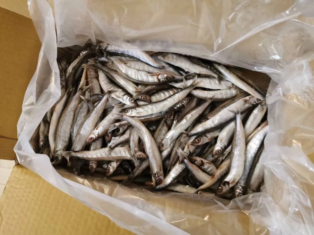 嚴選黃金柳葉魚