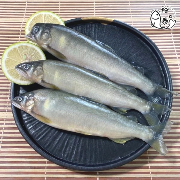 公香魚-規格洽詢