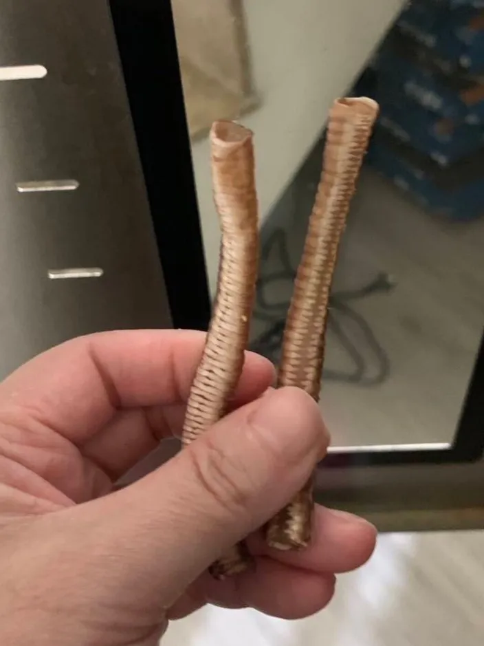 生鮮鴨氣管