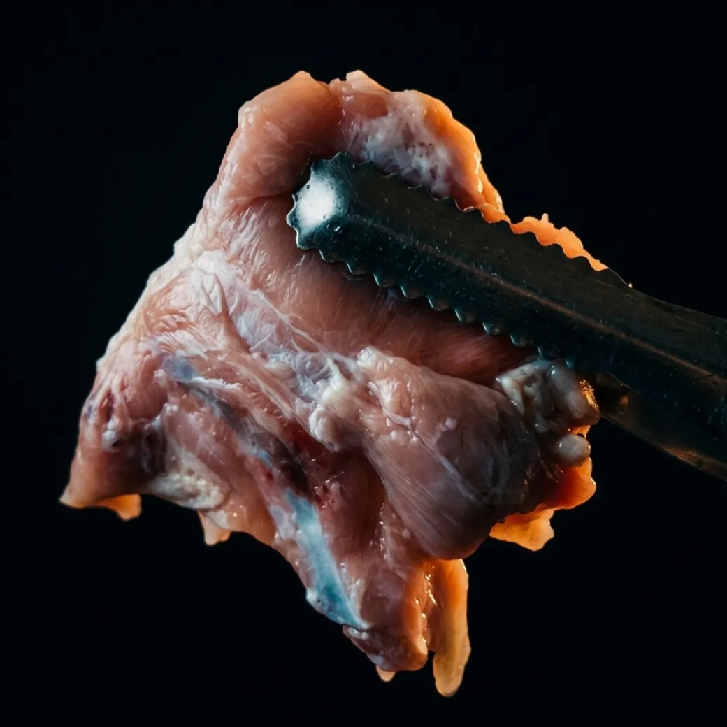 老饕雞菲力 超香精華部位 每包500克