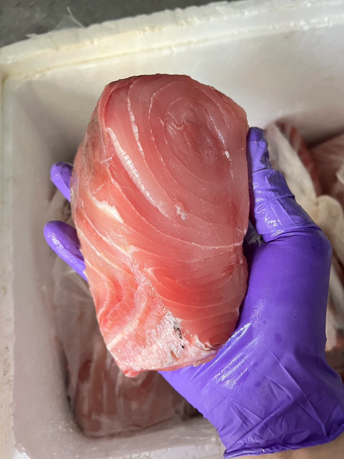 旗魚清肉(不規格形狀)生鮮/冷凍下單請說明(時價)