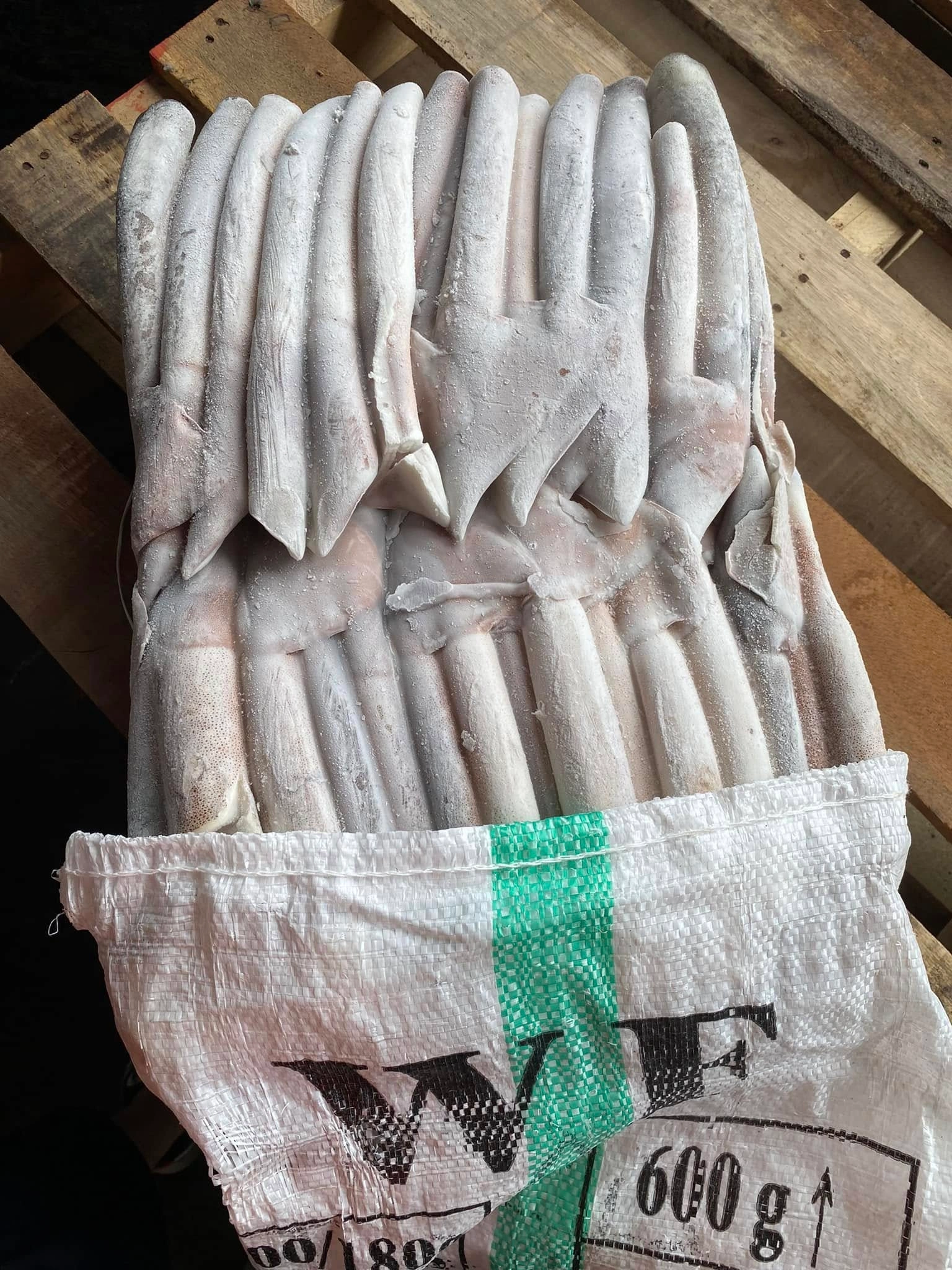 魷魚原料-規格洽詢