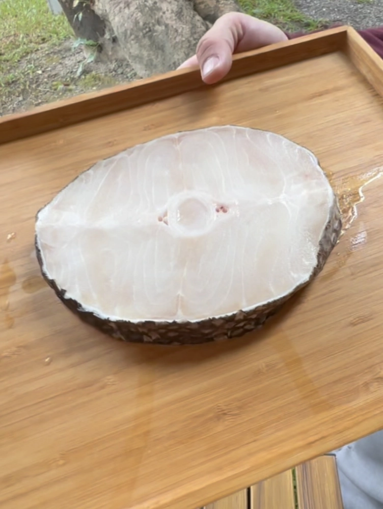 圓鱈(美露鱈/犬牙南極魚) Toothfish