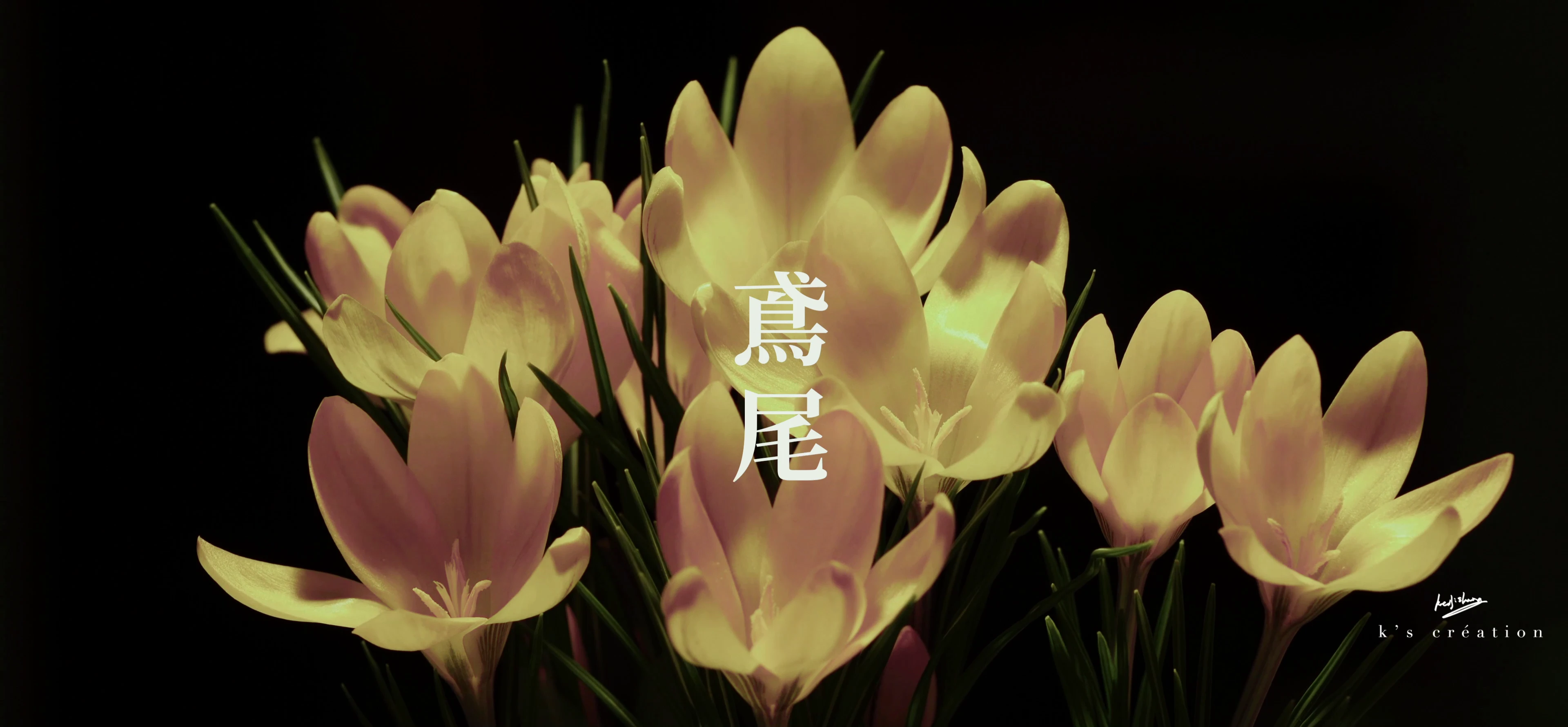 拍企業形象影片有什麼好處？