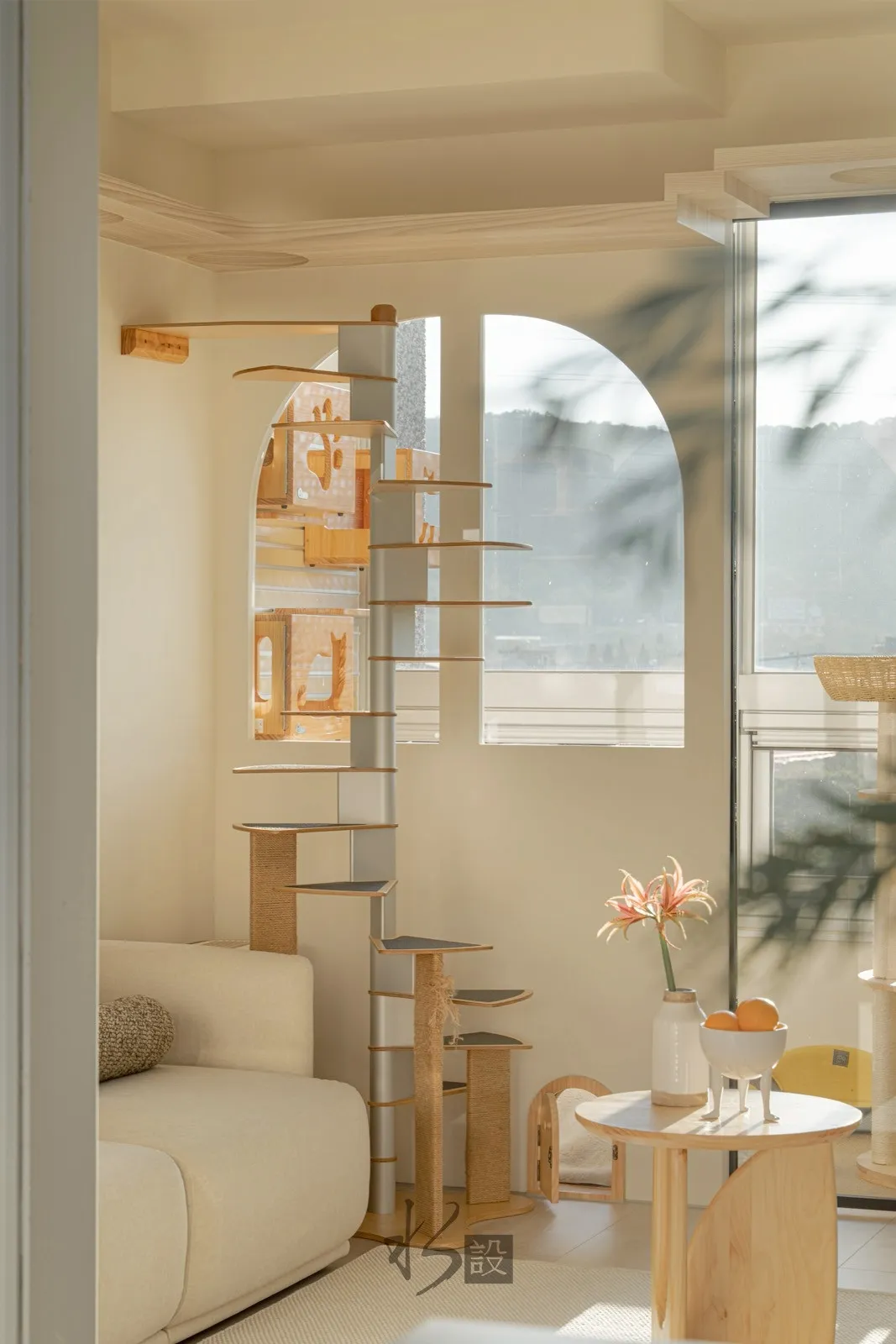 柔光與貓的日常