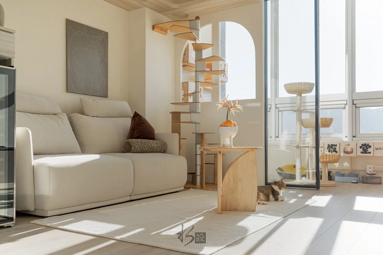 柔光與貓的日常