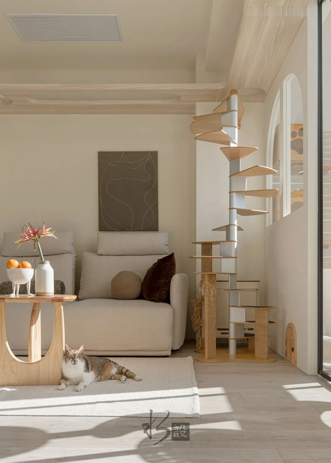 柔光與貓的日常