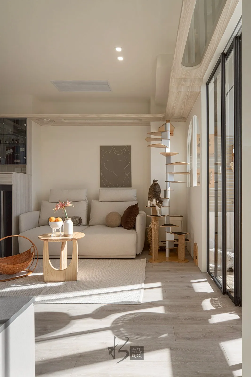 柔光與貓的日常