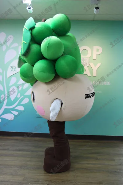California Grapes – Green Grape Baby