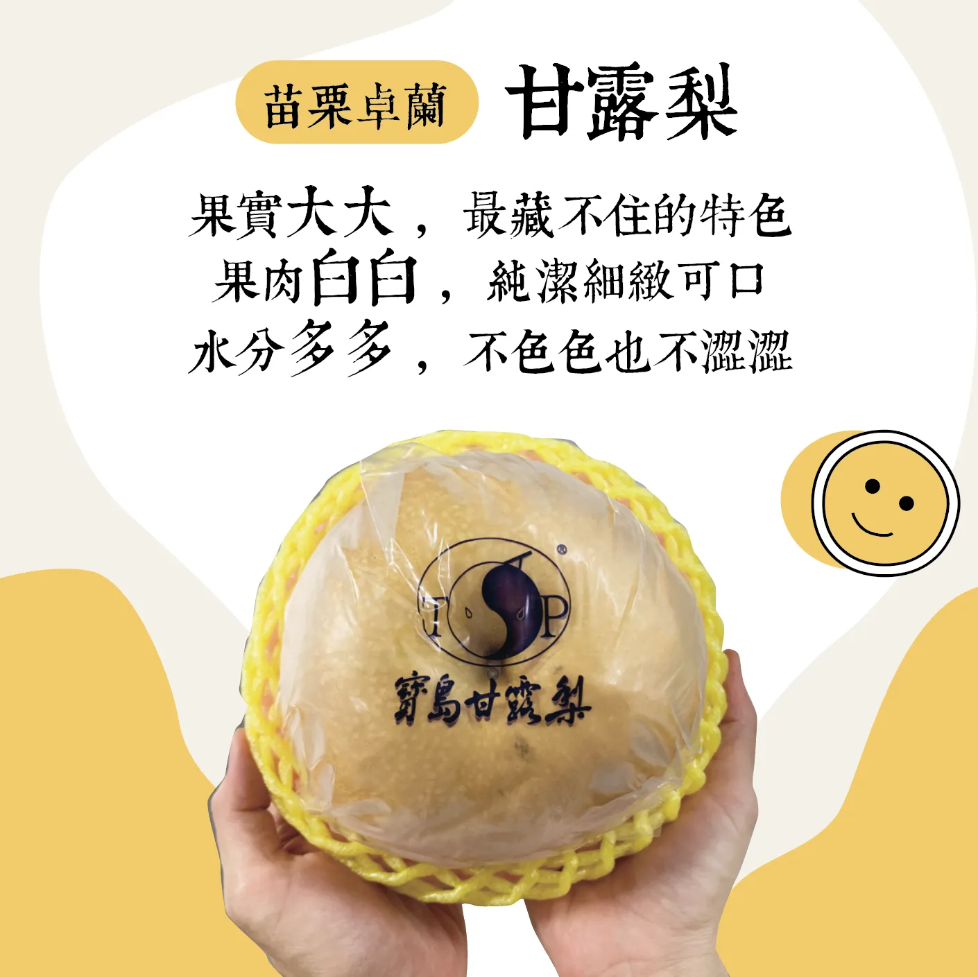 正港卓蘭超霸氣！寶島甘露梨 ( 瘋狂出貨中 )