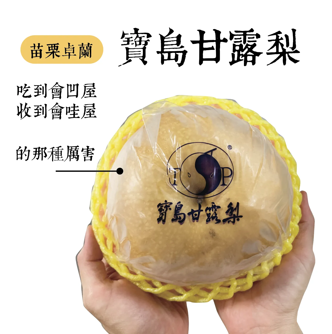 正港卓蘭超霸氣！寶島甘露梨 ( 瘋狂出貨中 )