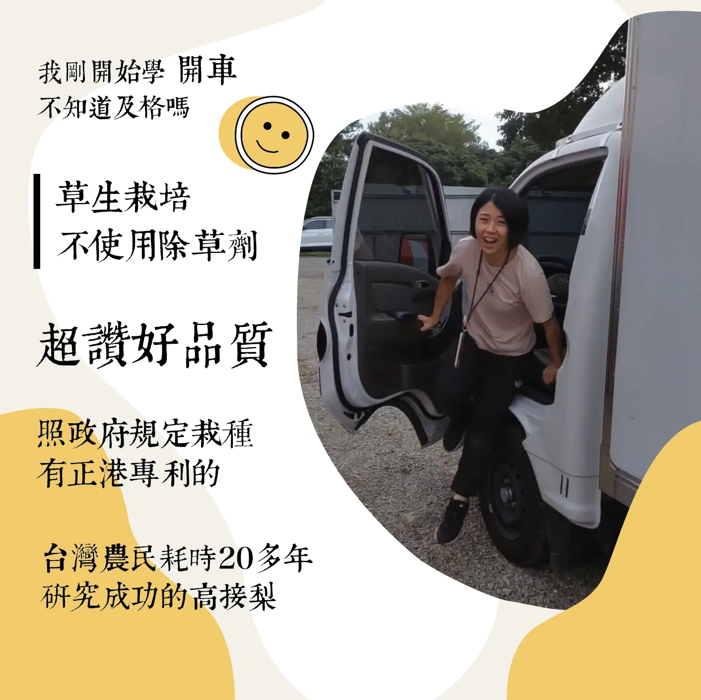 正港卓蘭超霸氣！寶島甘露梨 ( 瘋狂出貨中 )