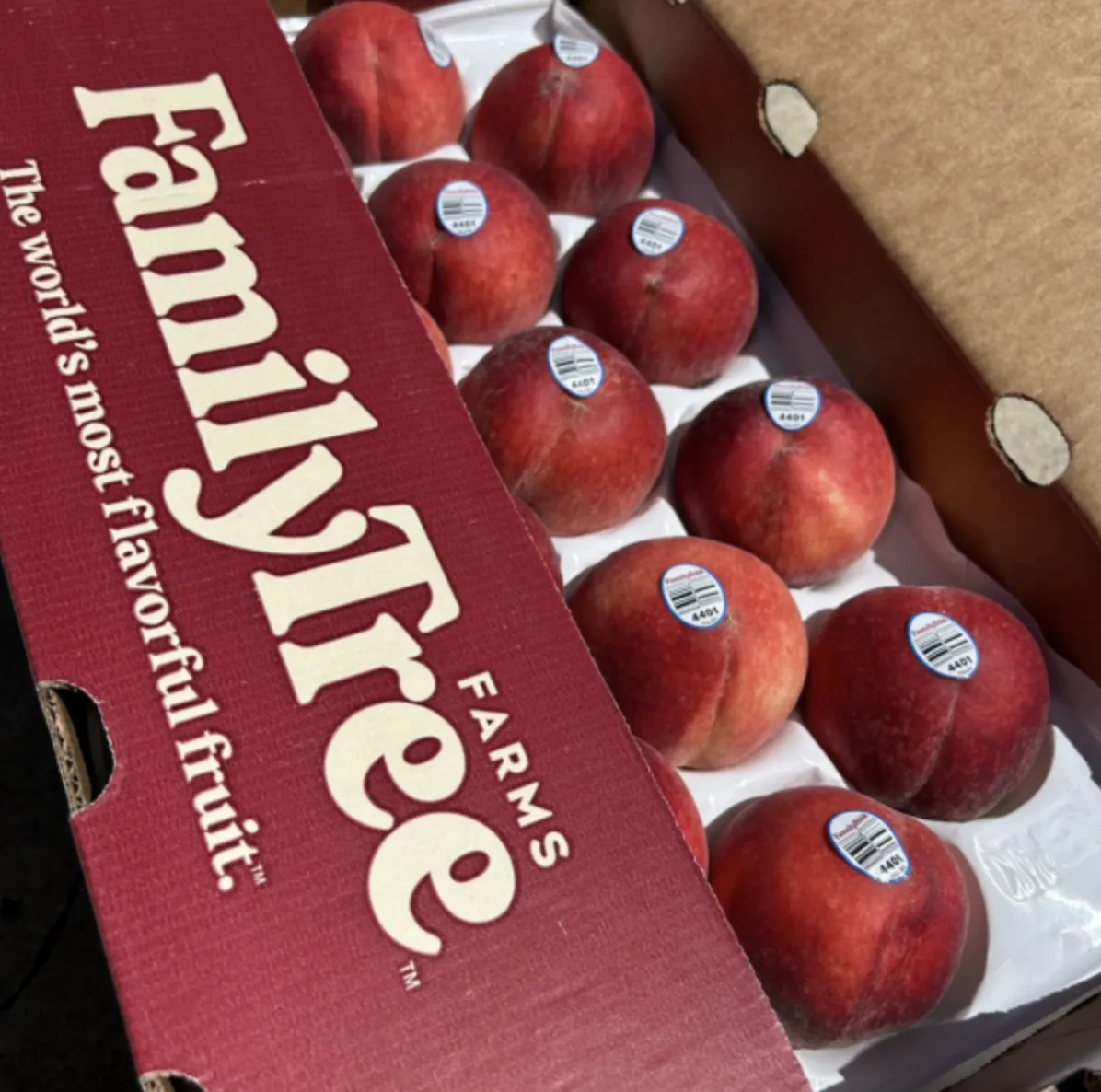 Family Tree加州水蜜桃