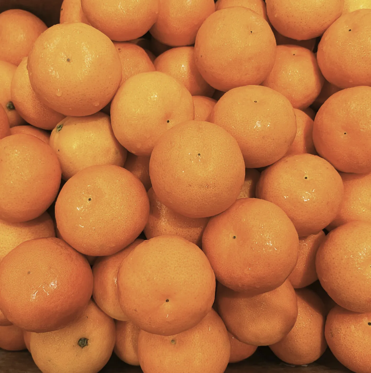 產地直送小茂谷