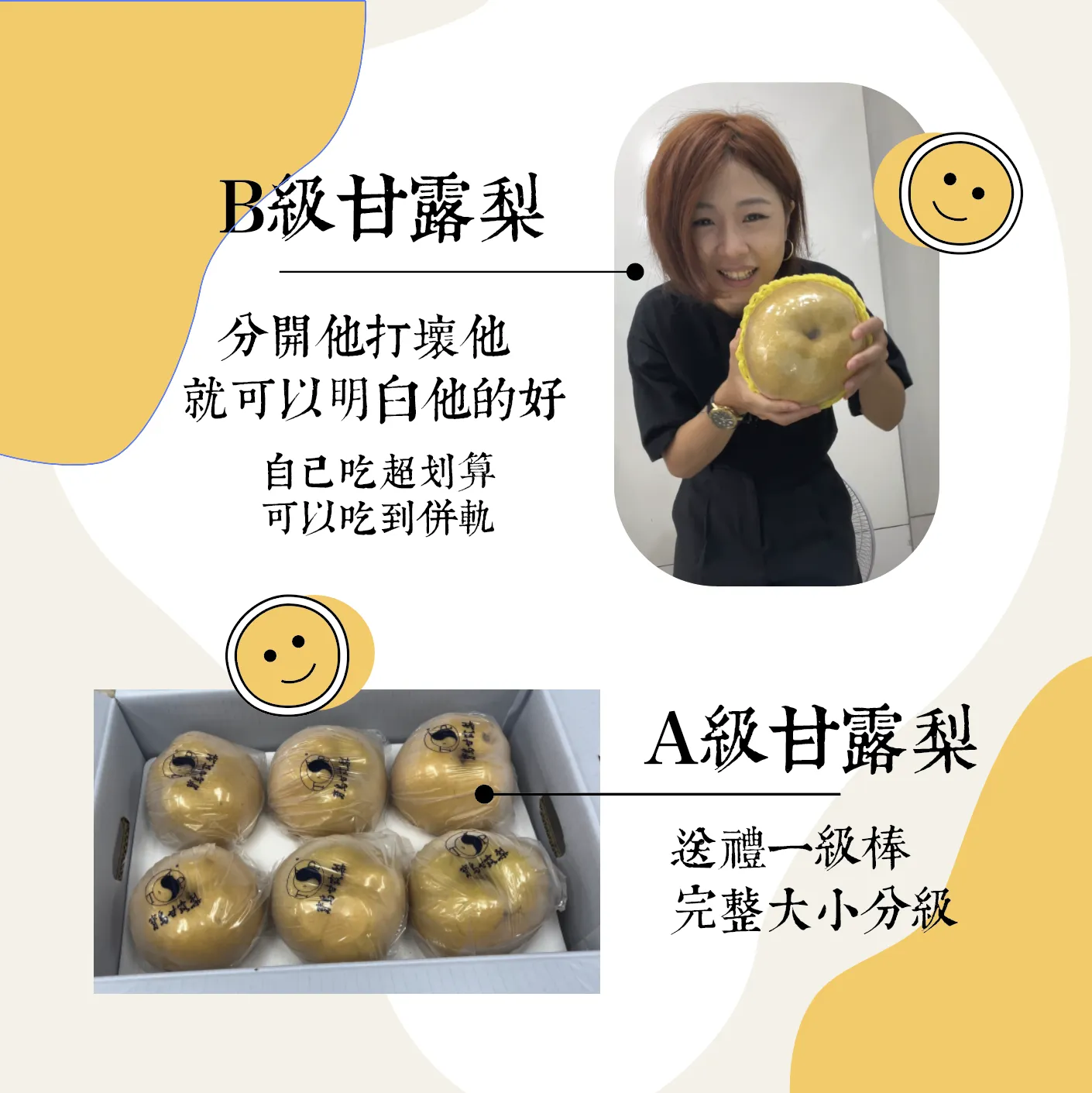 正港卓蘭超霸氣！寶島甘露梨 ( 瘋狂出貨中 )