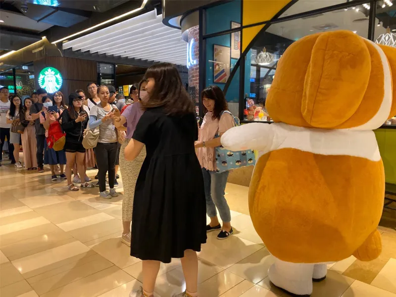 コーギー犬カーカ