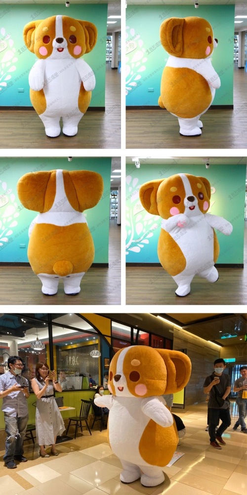 コーギー犬カーカ