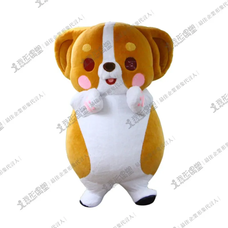 コーギー犬カーカ