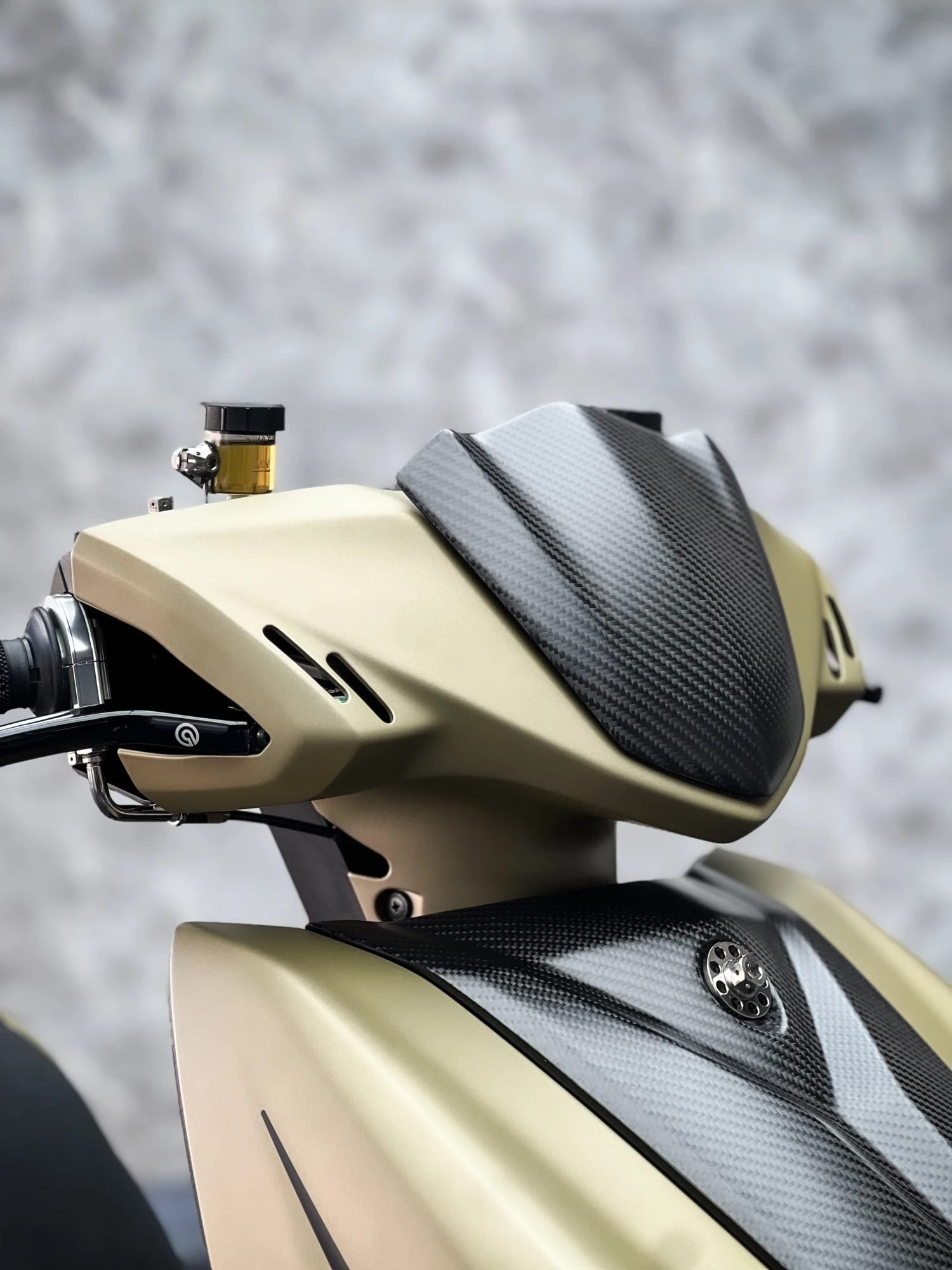 YAMAHA GRYPHUS-VI 鍍膜施工