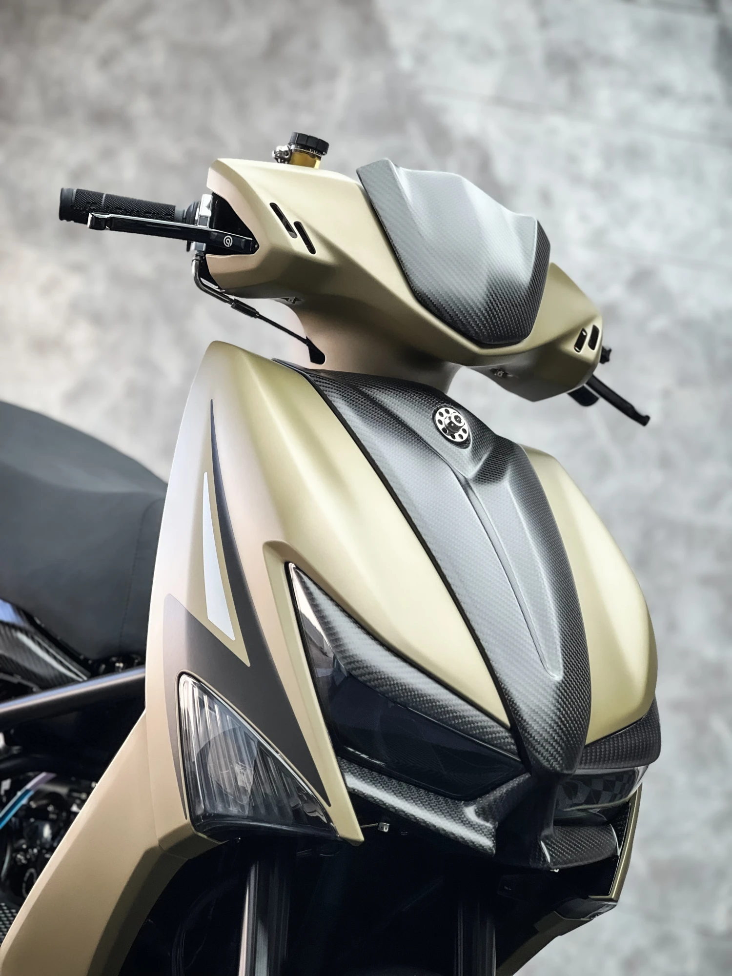 YAMAHA GRYPHUS-VI 鍍膜施工