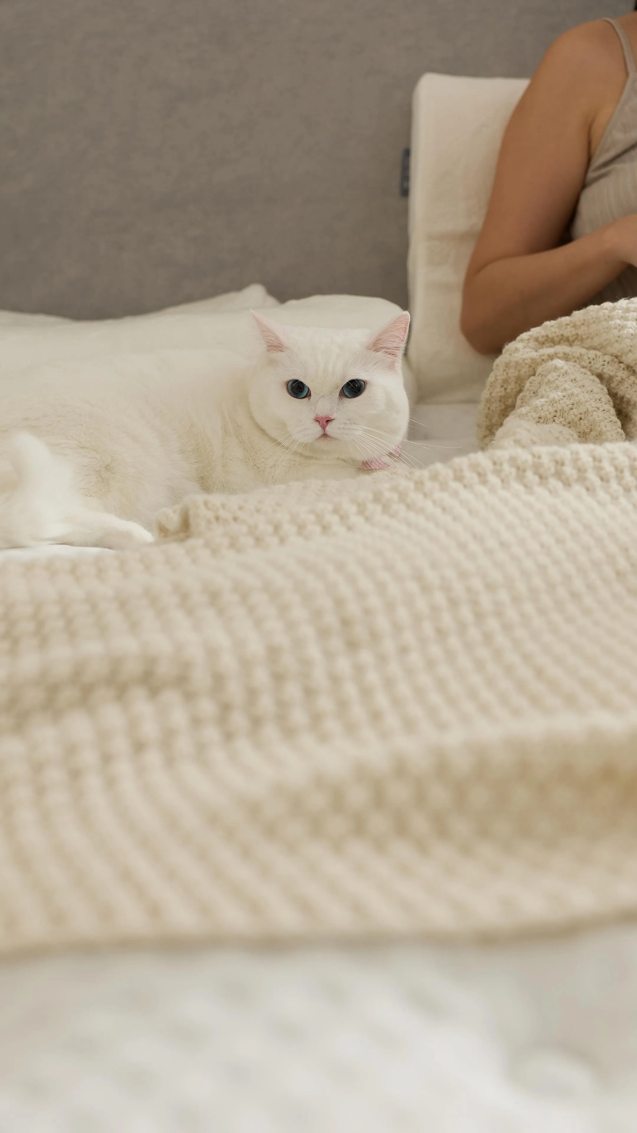 作品集分享 | 質感居家 Lifestyle 影像故事-台中產品攝影/北屯區活動場地租借