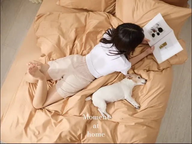 最自然的居家感，都在這裡發生-台中商業拍攝/北屯區會議場地租借