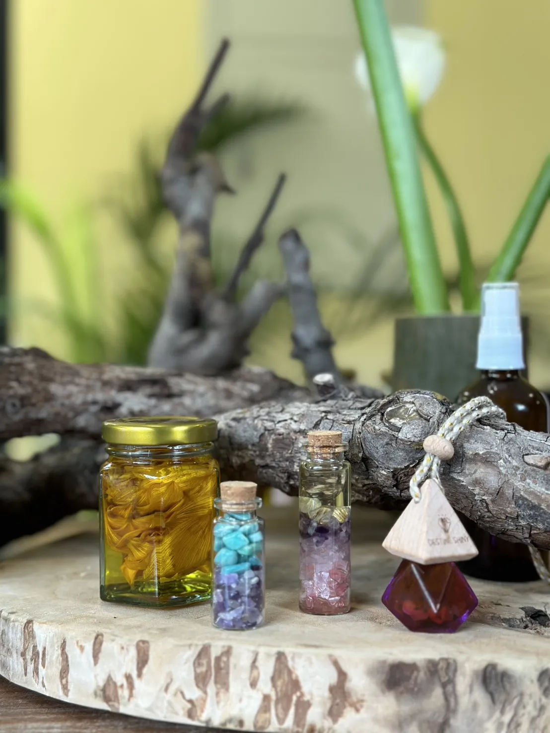 魔法藥草學-初階