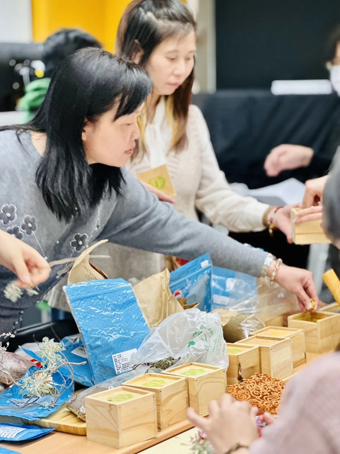 魔法藥草學-初階