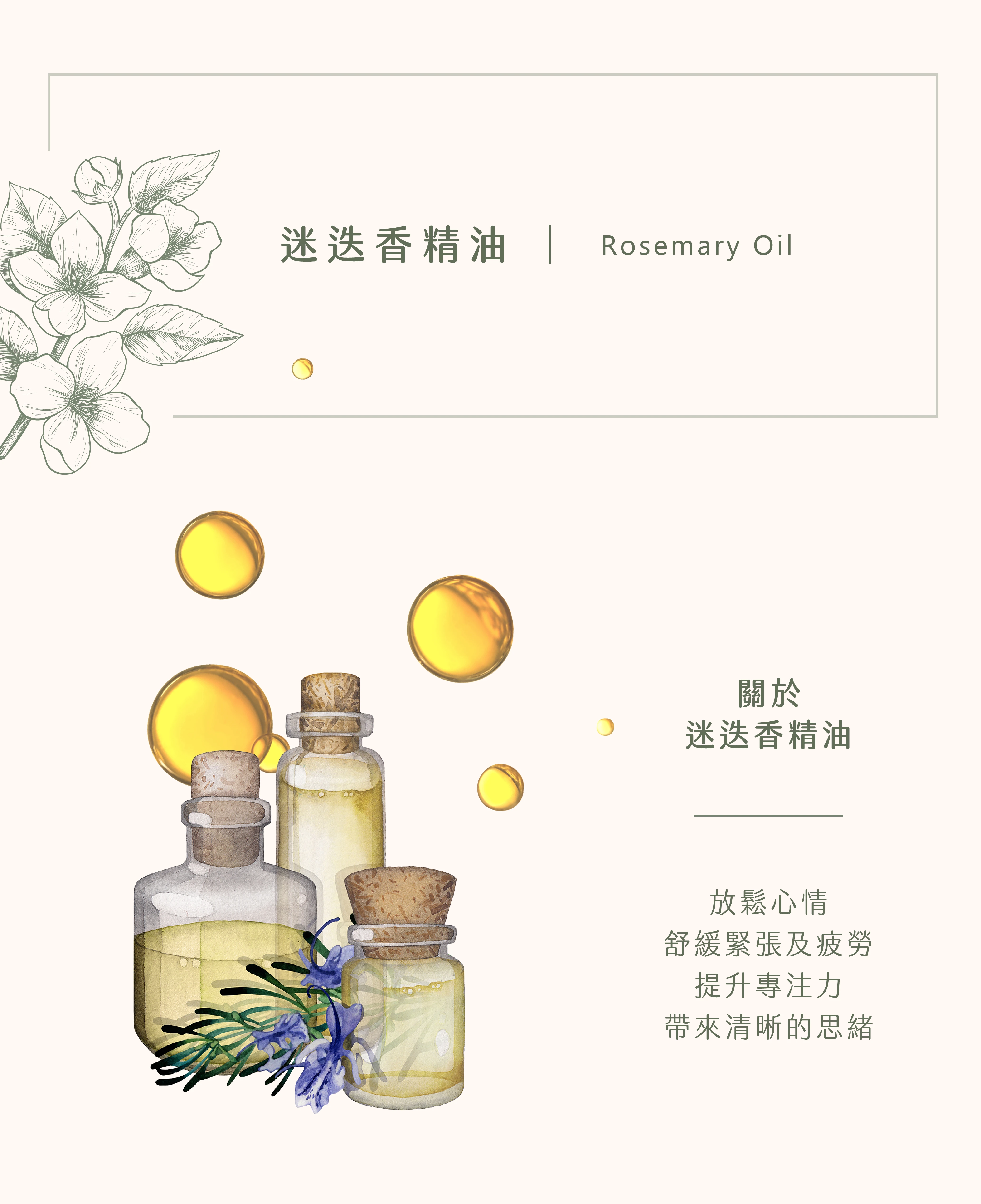 迷迭香精油｜趕走你的瞌睡蟲