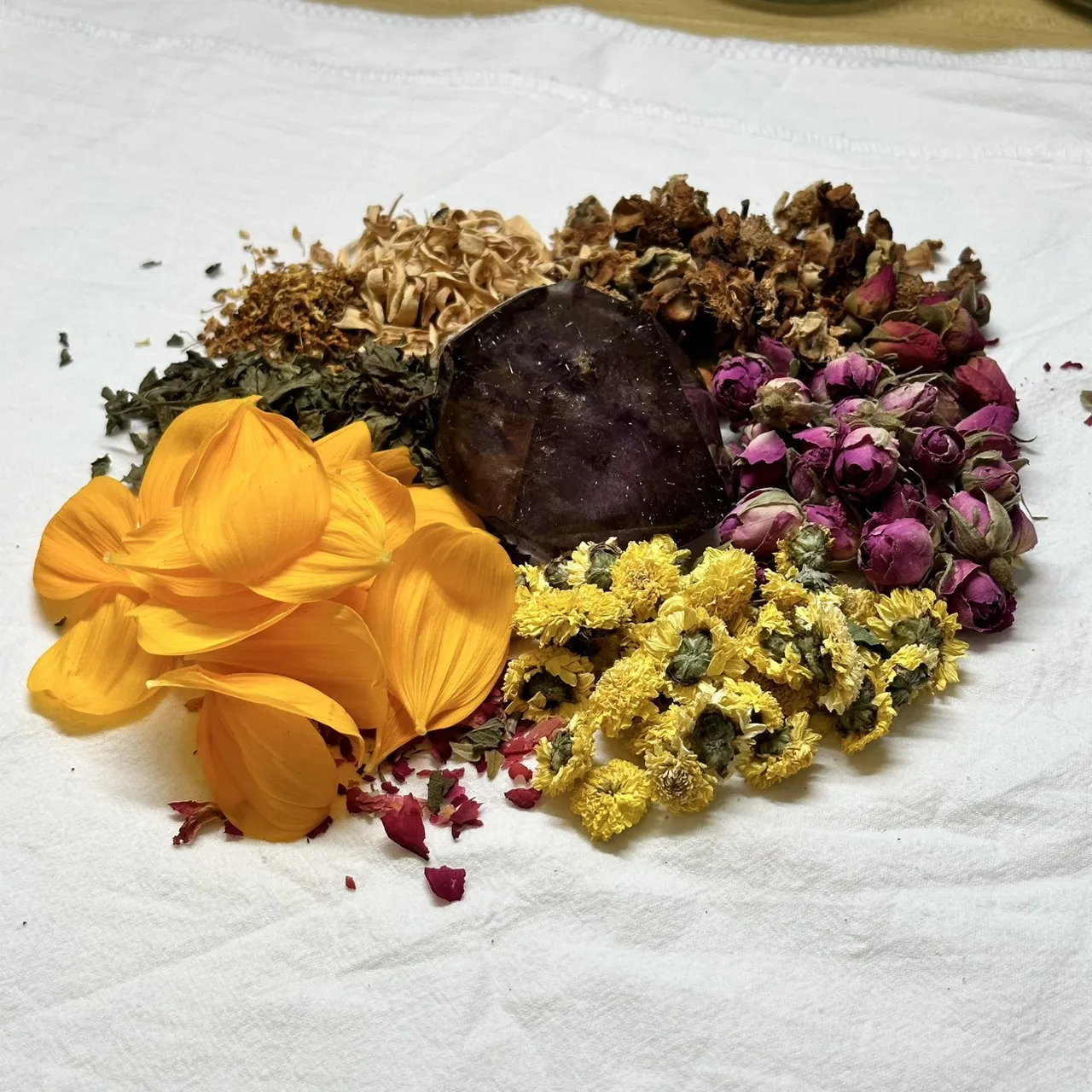 魔法藥草學-初階