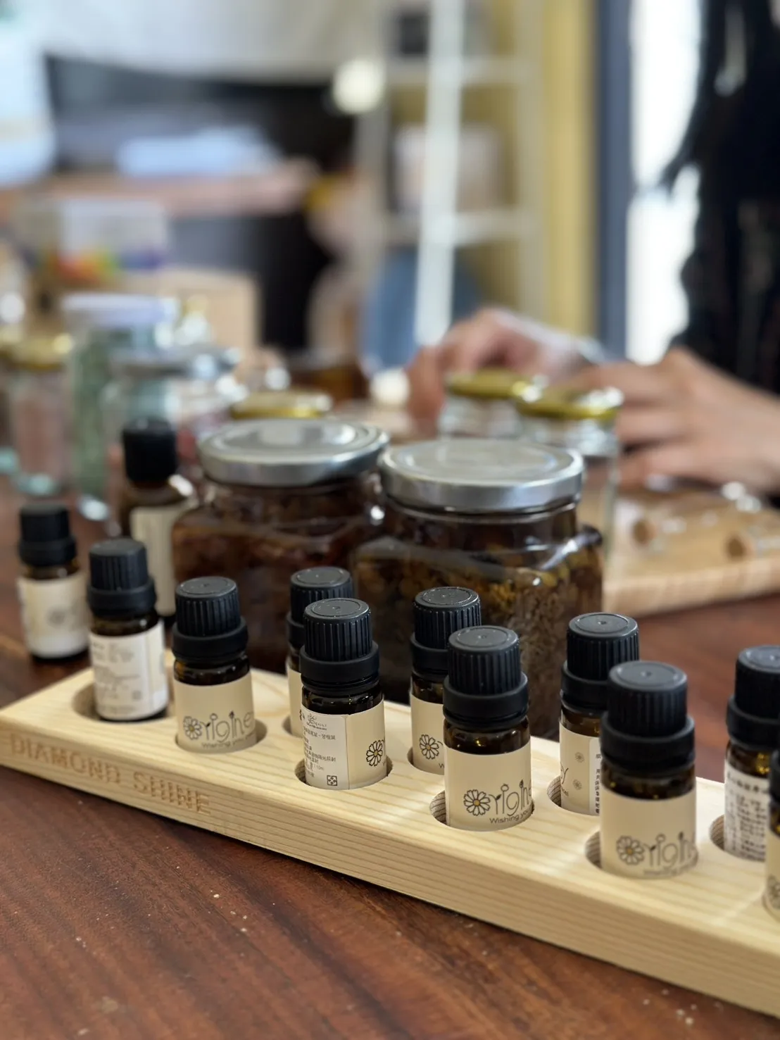 魔法藥草學-初階