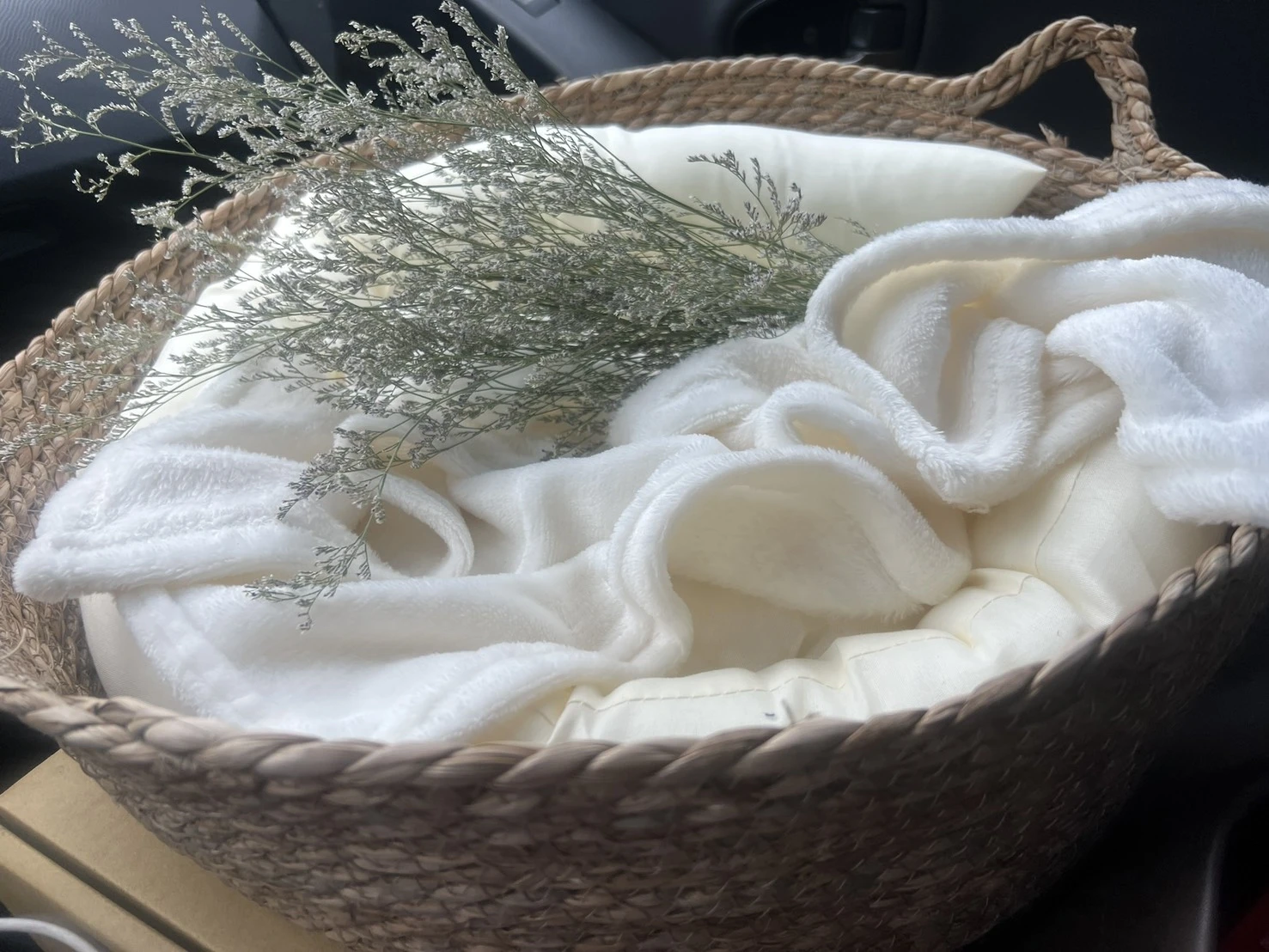 老年寵物怎麼照顧？高雄寵物禮儀/ 燕巢區寵物禮儀