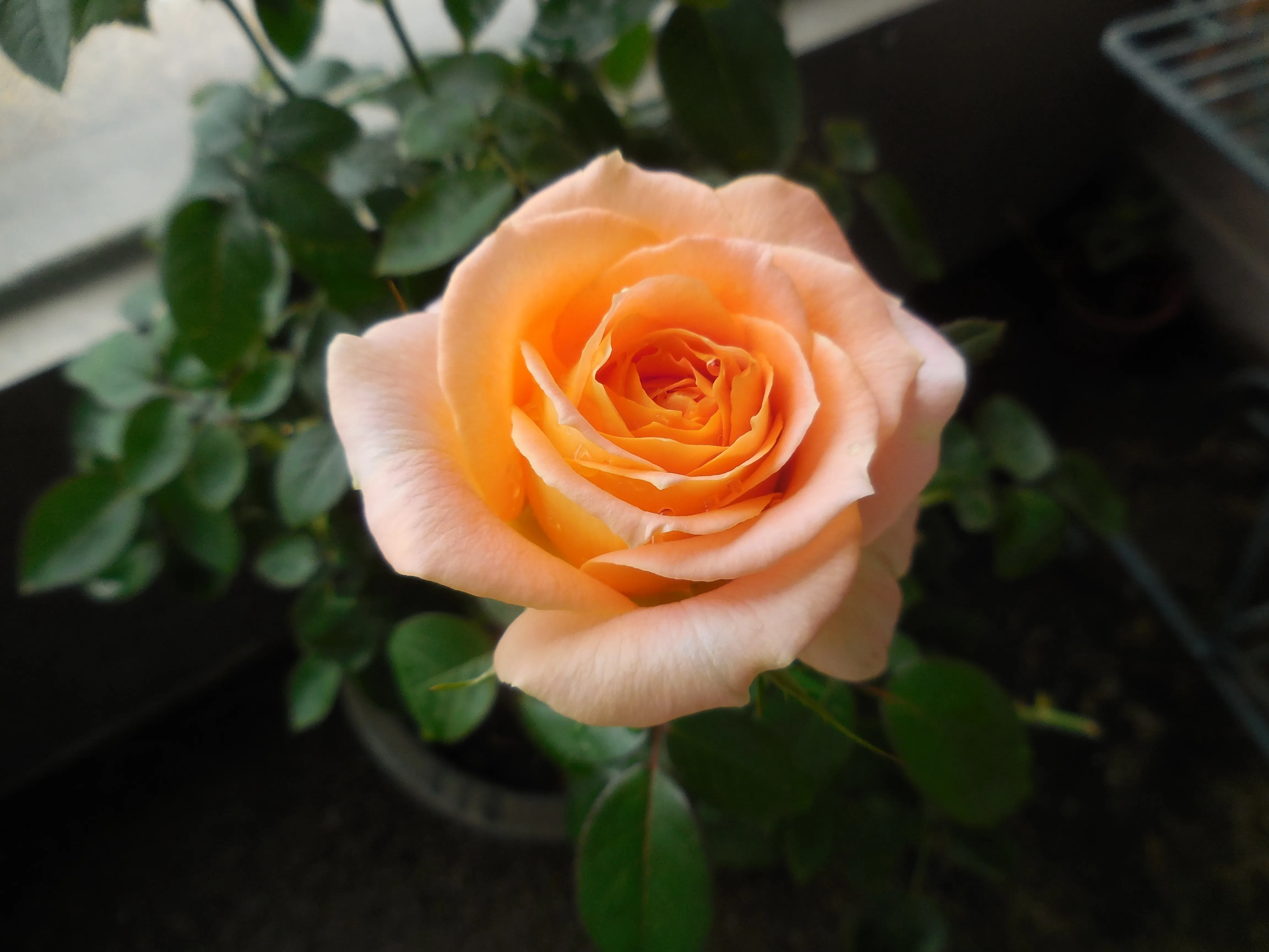 金工手作初階課程