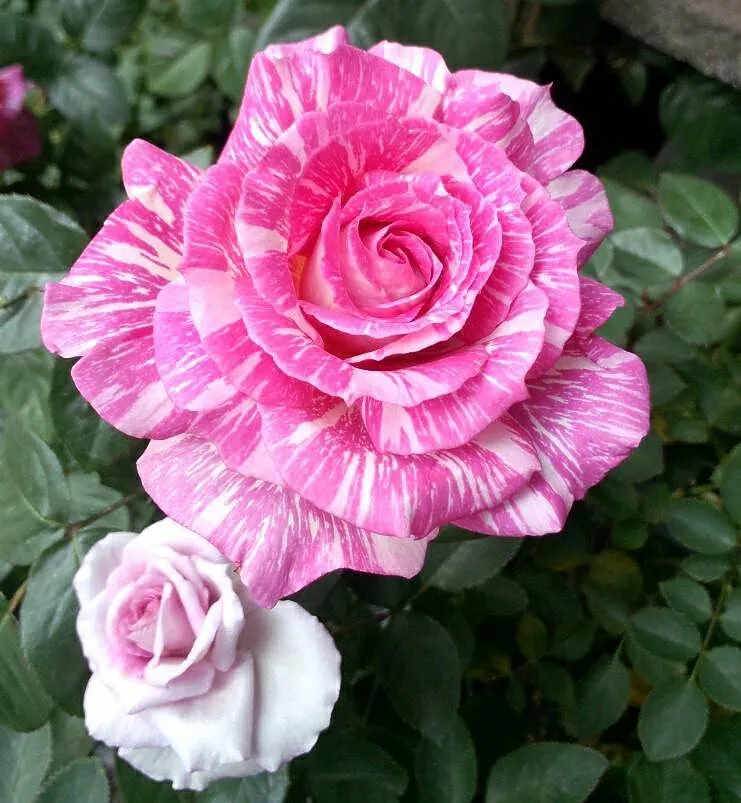 金屬工藝手作飾品創作