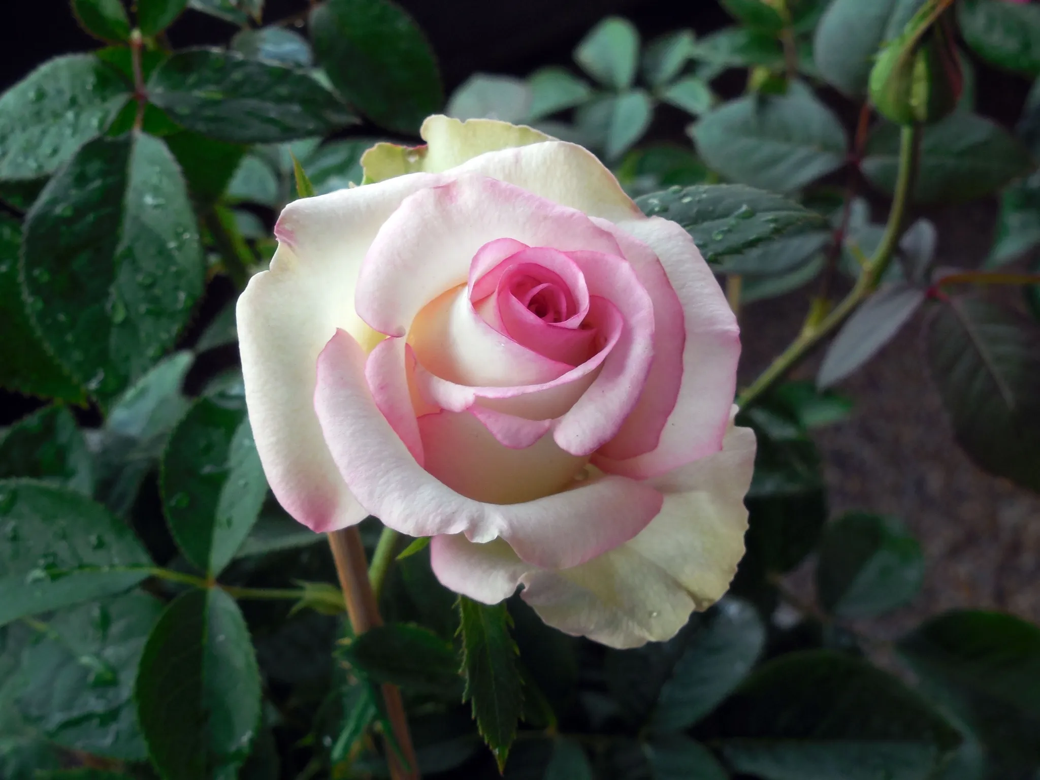 金工手作初階課程