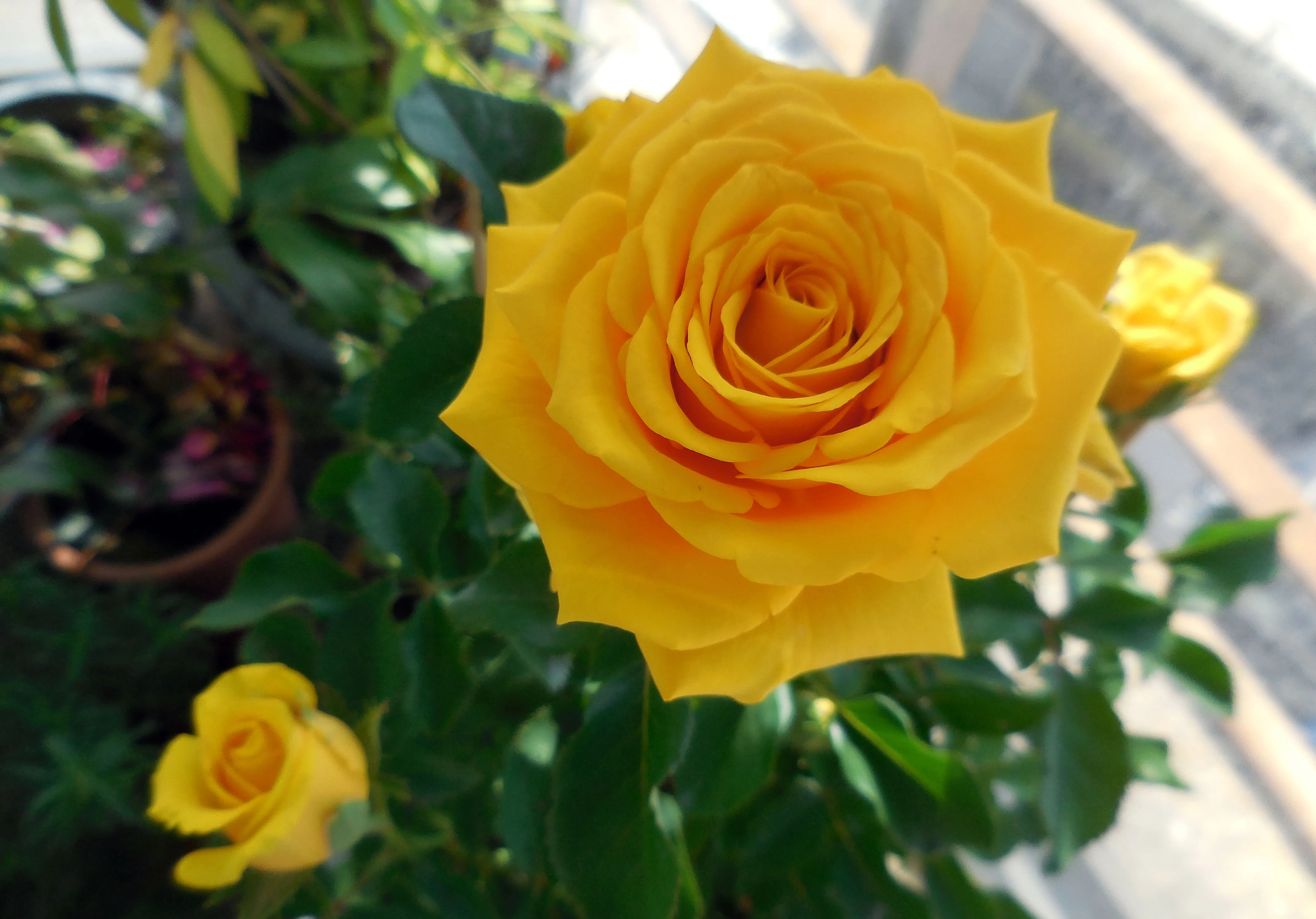 金工手作初階課程