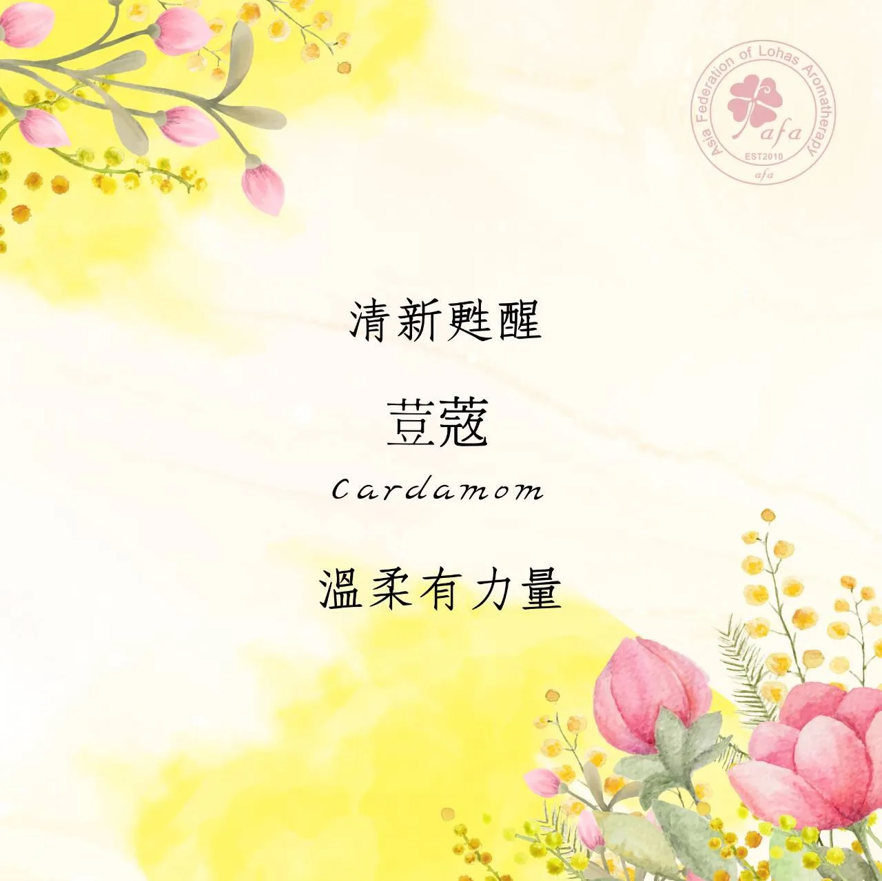 2026/02 共時香氣