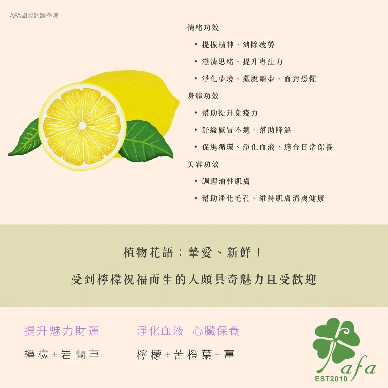 新手入門必備三支家庭精油，開啟你的美好芳香生活