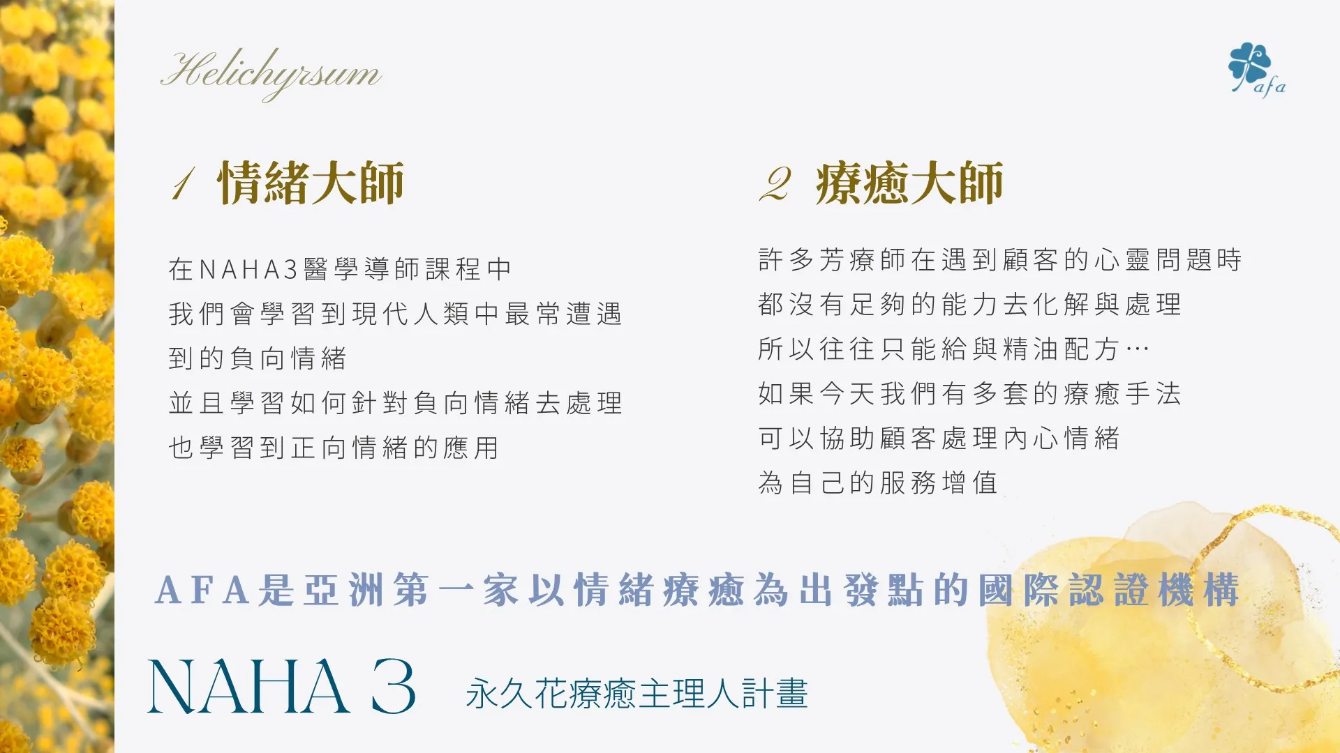 美國NAHA3最高等級醫學導師班