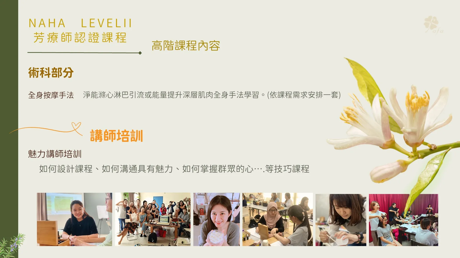 美國NAHA2高階魅力講師認證班